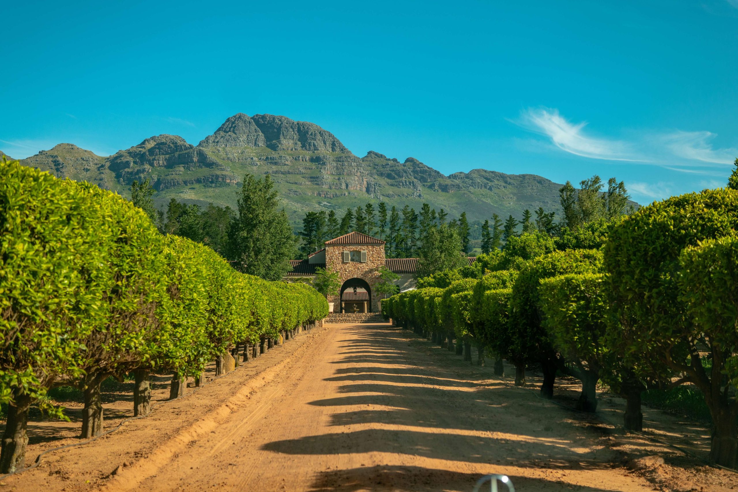 waterford_estate_stellenbosch View of the entrance to Waterford wine estate in Stellenbosch.